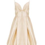 Champagne Elbise