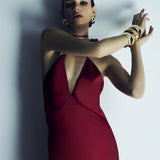 Charme Elbise